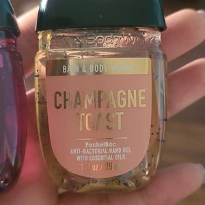 Bath and body works travel size handsanitizers